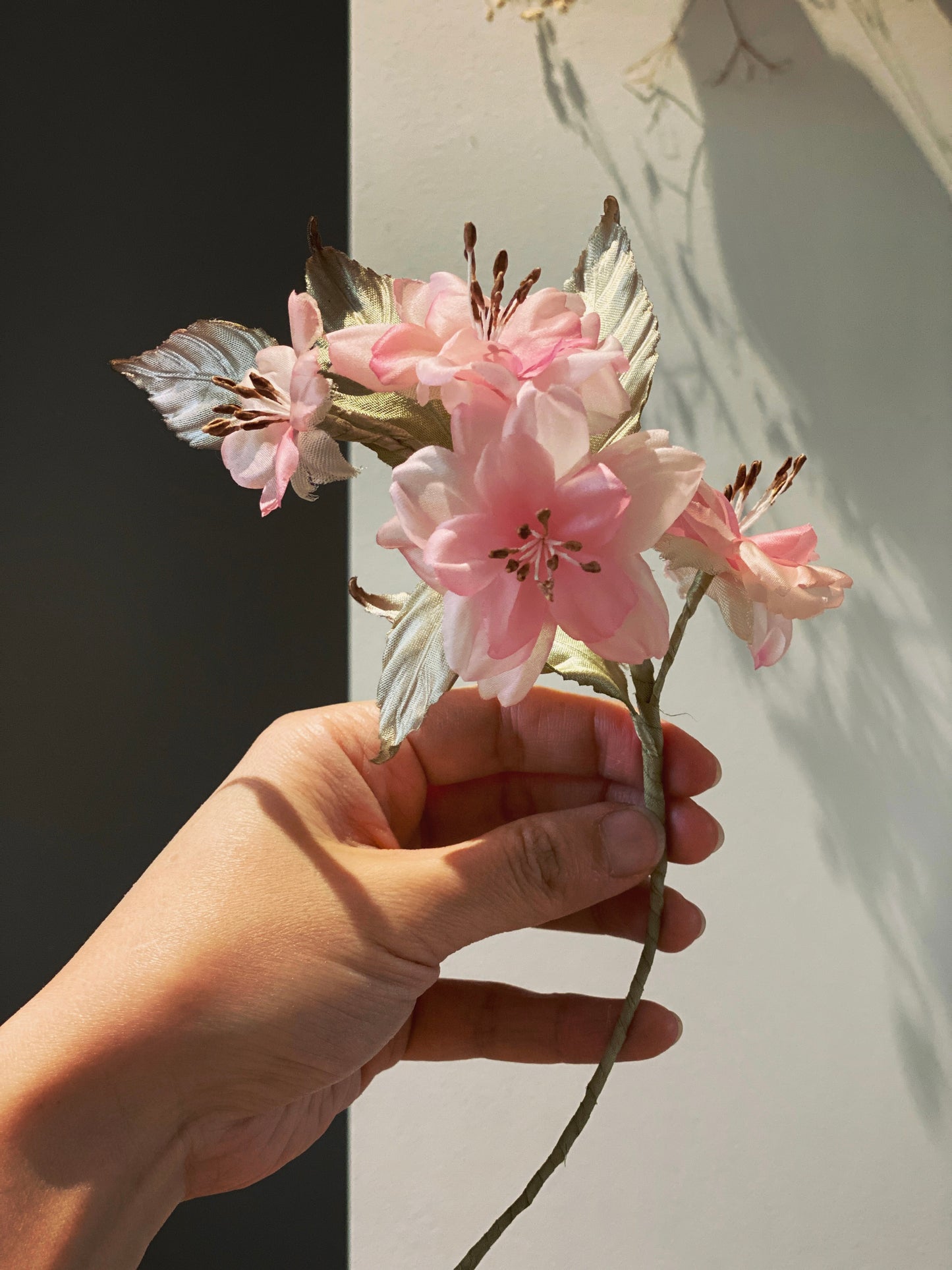 【Level 1】Cherry Blossom, Sakura 【6 hours】